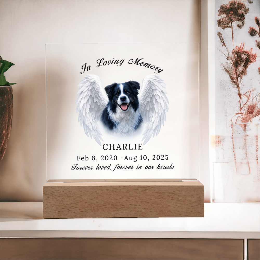 Personalized Pet Memorial Acrylic Plaque with LED base.