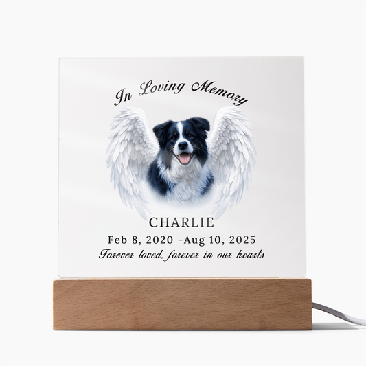 Personalized Pet Memorial Acrylic Plaque with LED base.