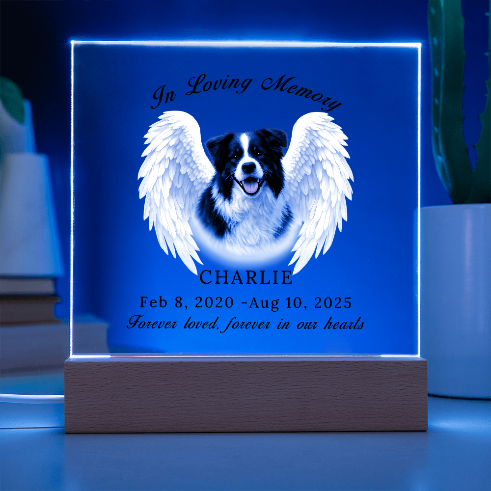 Personalized Pet Memorial Acrylic Plaque with LED base.