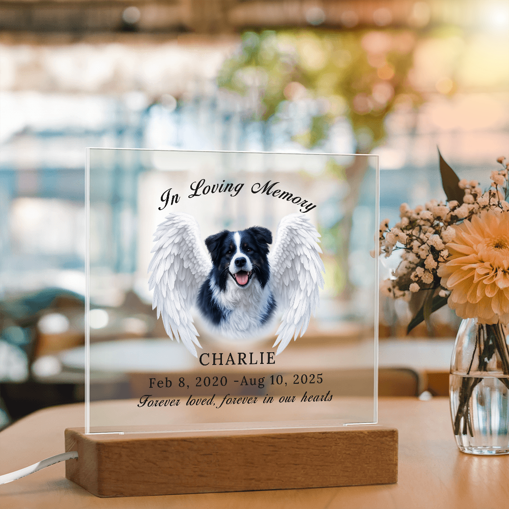 Personalized Pet Memorial Acrylic Plaque with LED base.