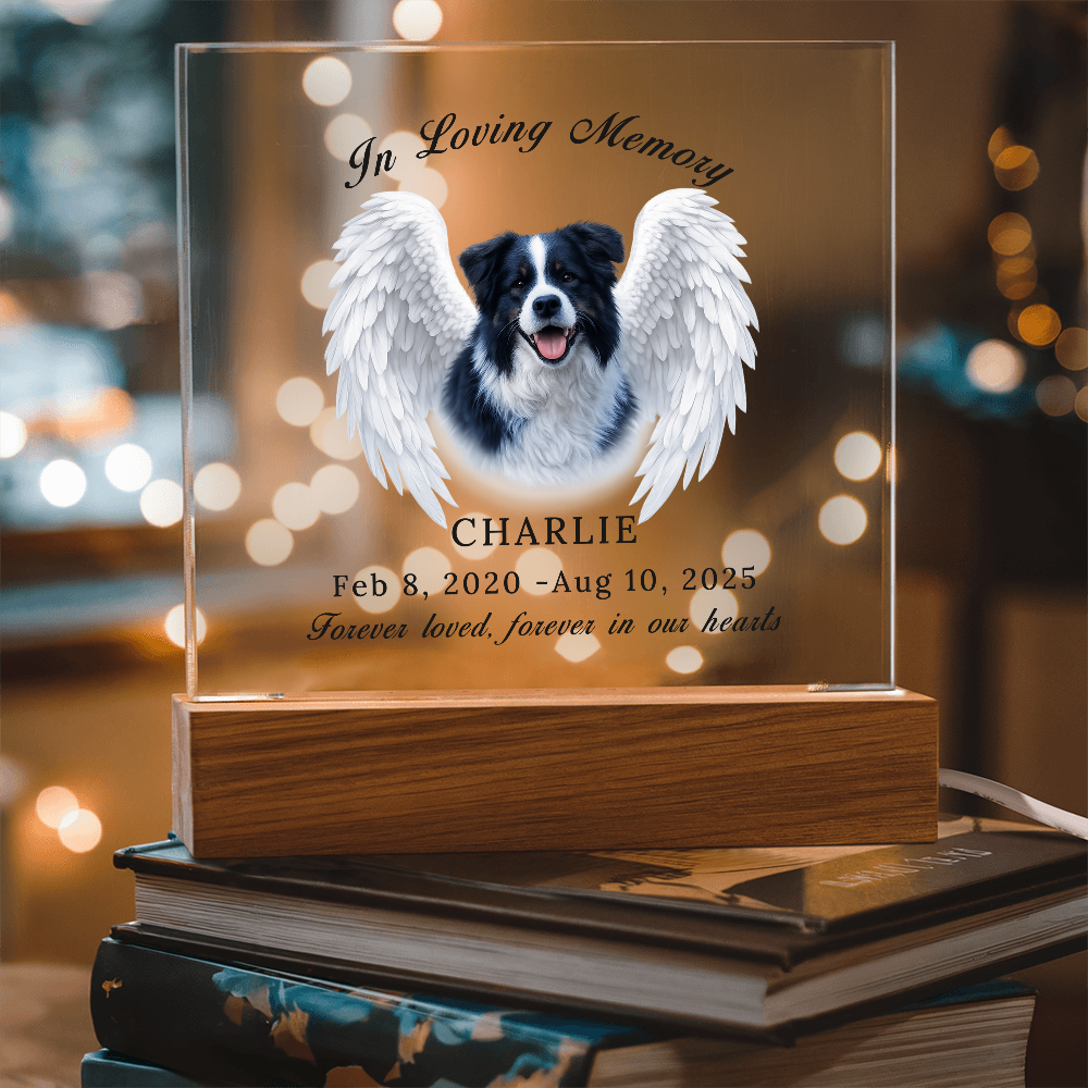 Personalized Pet Memorial Acrylic Plaque with LED base.