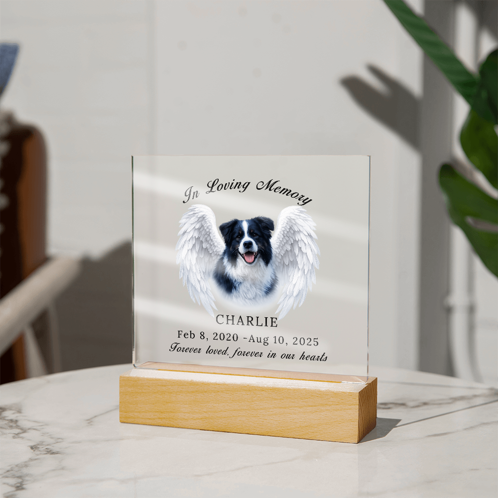 Personalized Pet Memorial Acrylic Plaque with LED base.