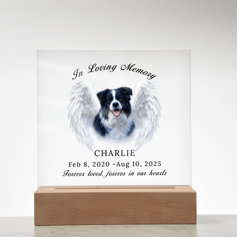 Personalized Pet Memorial Acrylic Plaque with LED base.
