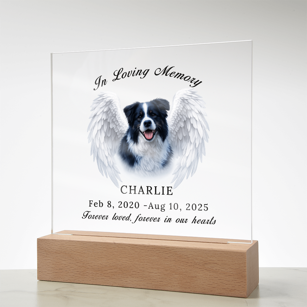 Personalized Pet Memorial Acrylic Plaque with LED base.