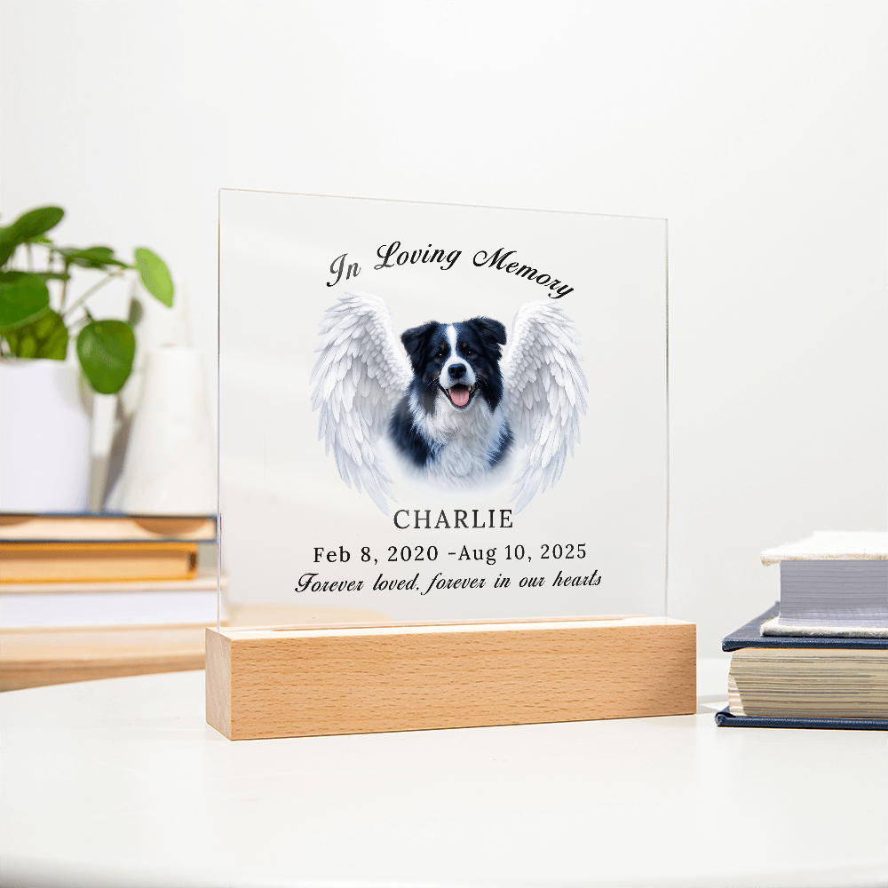 Personalized Pet Memorial Acrylic Plaque with LED base.