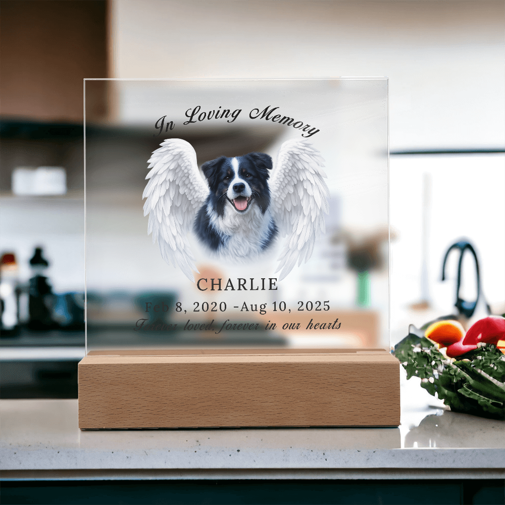 Personalized Pet Memorial Acrylic Plaque with LED base.