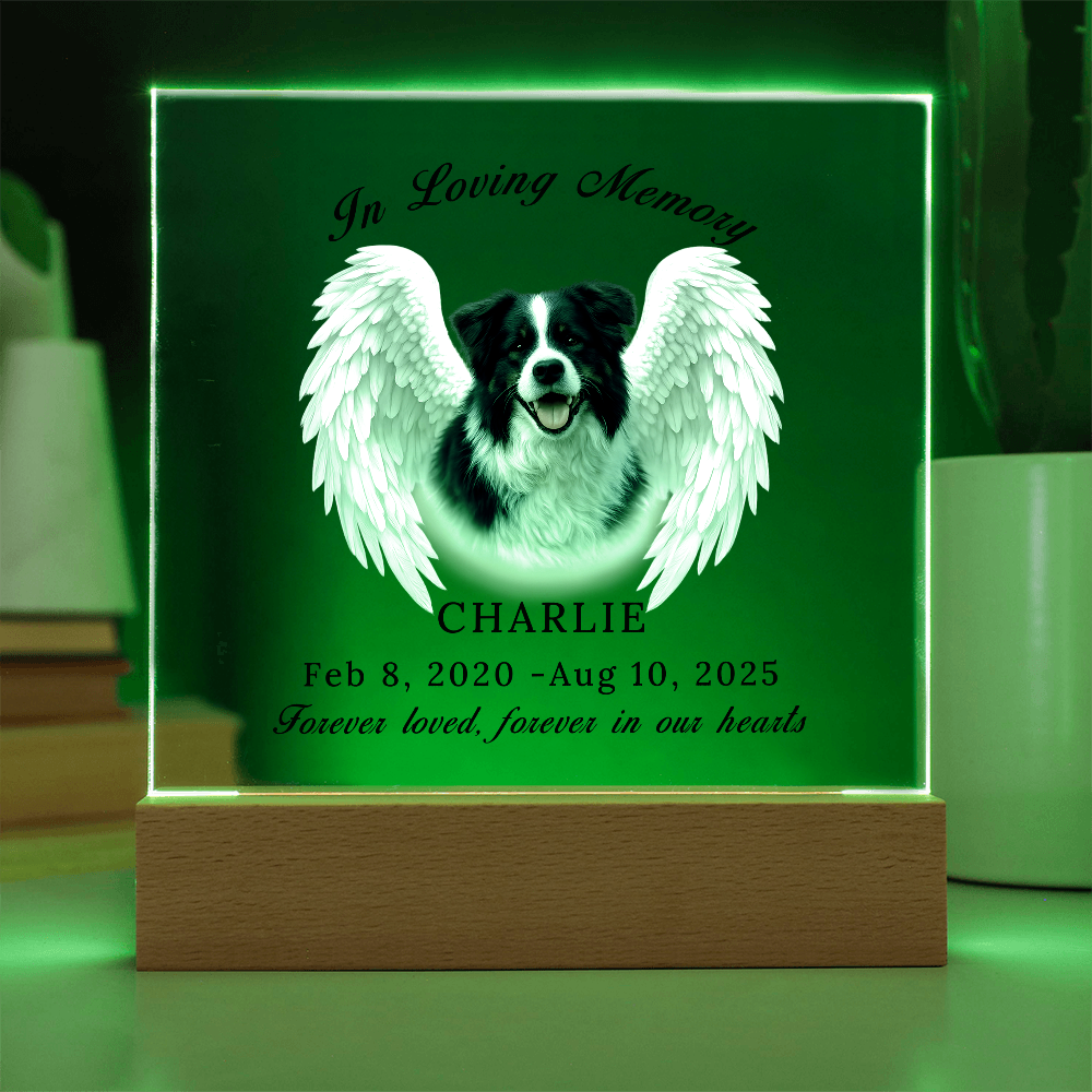 Personalized Pet Memorial Acrylic Plaque with LED base.