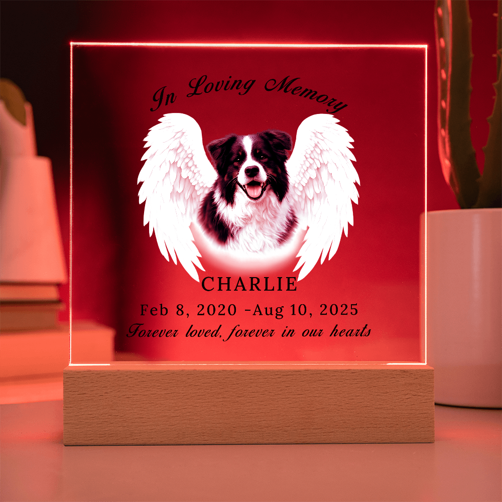 Personalized Pet Memorial Acrylic Plaque with LED base.