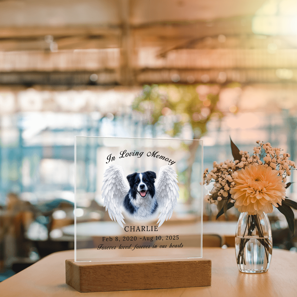 Personalized Pet Memorial Acrylic Plaque with LED base.